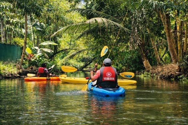 Beginner kayaking through calm canals in Alleppey backwaters