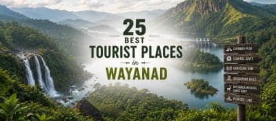25 Best Tourist Places in Wayanad You Must Visit in 2026